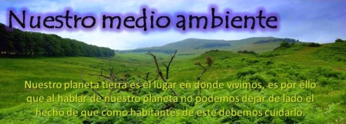 Día del Medio Ambiente: información, imágenes y mensajes para el 5 de