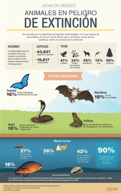 Infografias Día del Animal  (10)