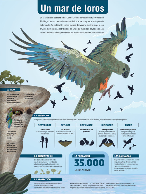 Infografias Día del Animal  (20)