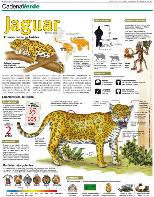 Infografias Día del Animal  (23)