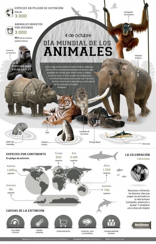 Infografias Día del Animal  (25)