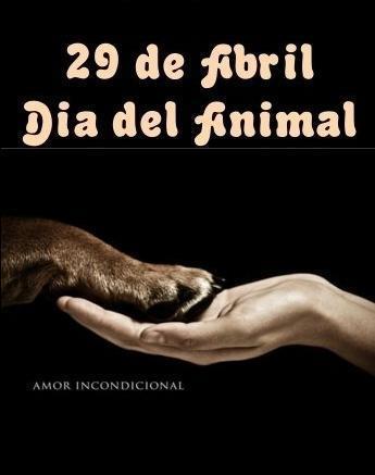 Feliz Día del Animal  (3)