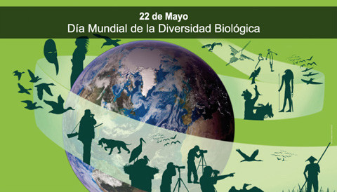 Día de la Biodiversidad (10)
