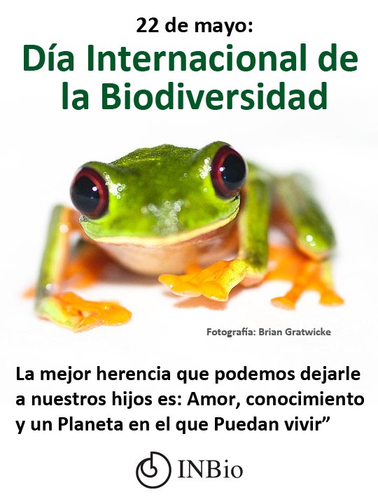 Día de la Biodiversidad (12)