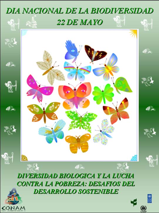 Día de la Biodiversidad (13)