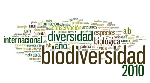 Día de la Biodiversidad (5)