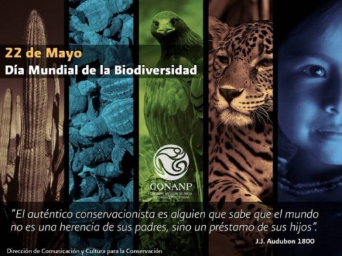 Día de la Biodiversidad (8)