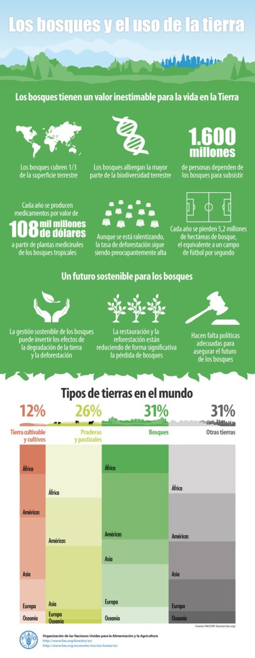 infografia-biodiversidad (2)