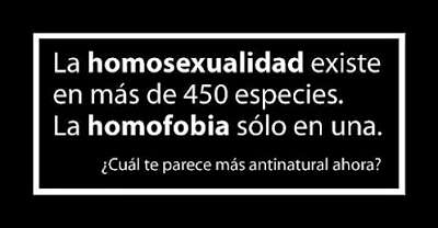 Imágenes y frases para el 17 de Mayo: Día contra la Homofobia